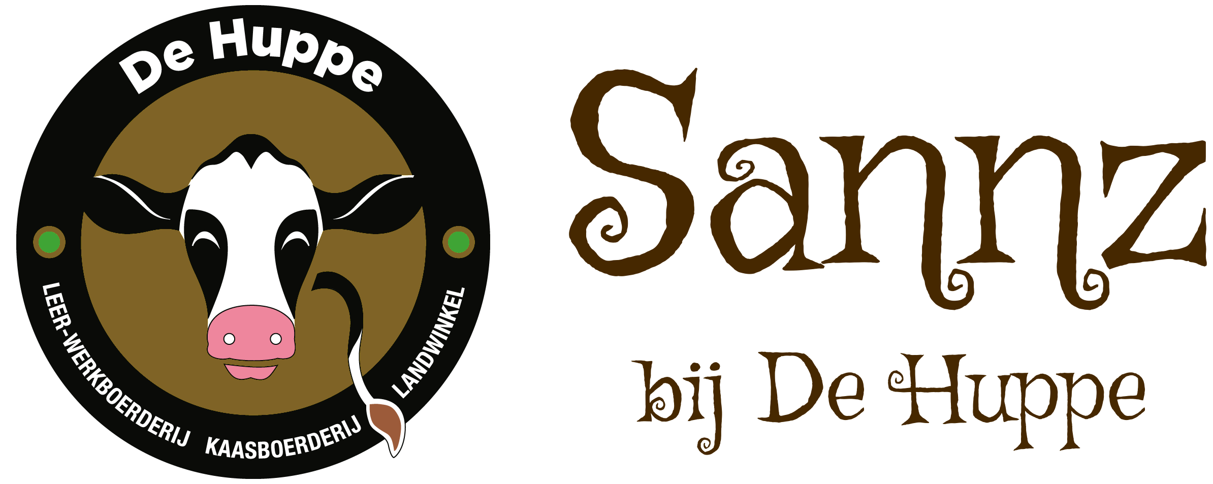 Sannz logo